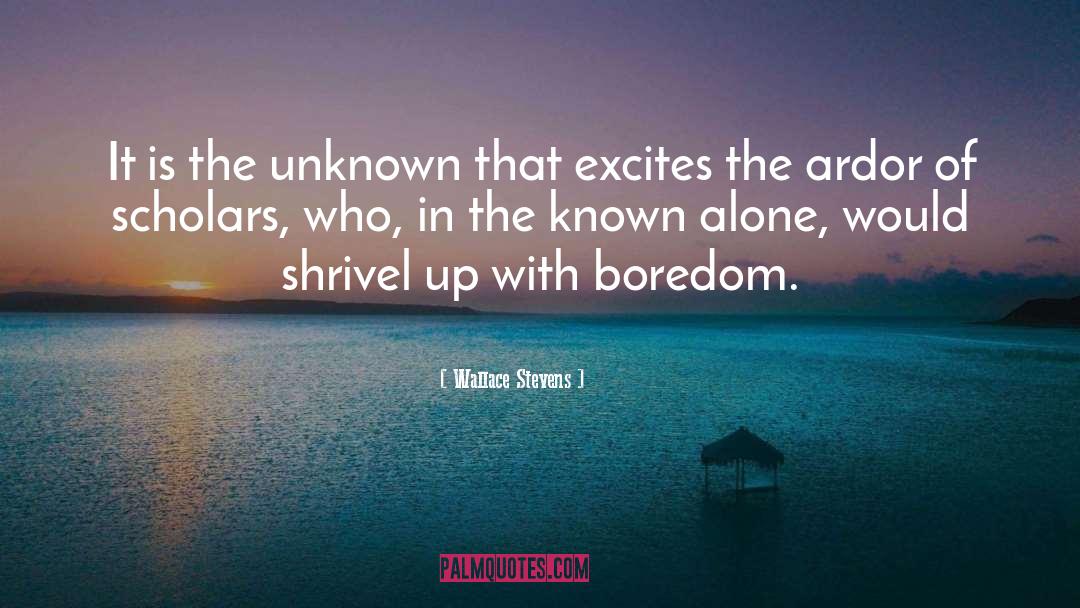 Wallace Stevens Quotes: It is the unknown that