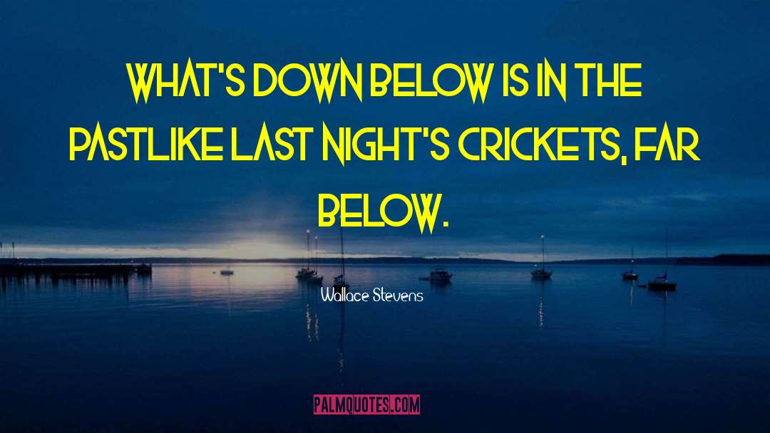 Wallace Stevens Quotes: What's down below is in