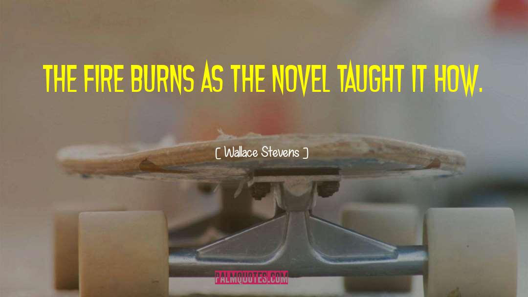 Wallace Stevens Quotes: The fire burns as the