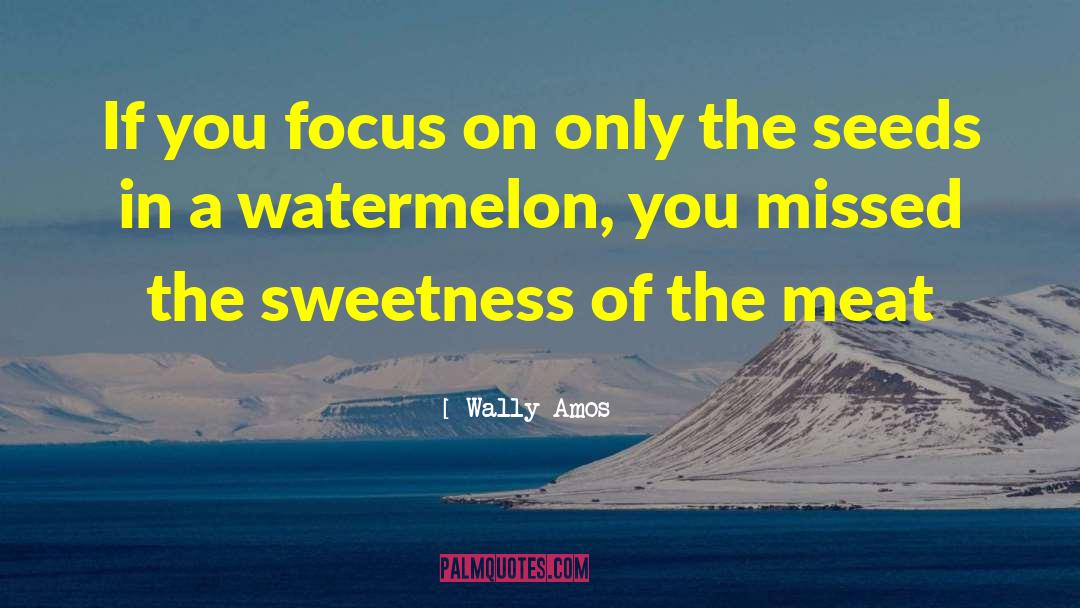 Wally Amos Quotes: If you focus on only