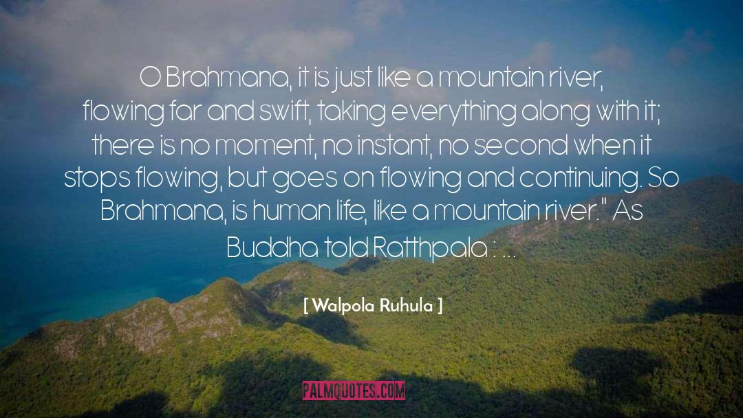 Walpola Ruhula Quotes: O Brahmana, it is just