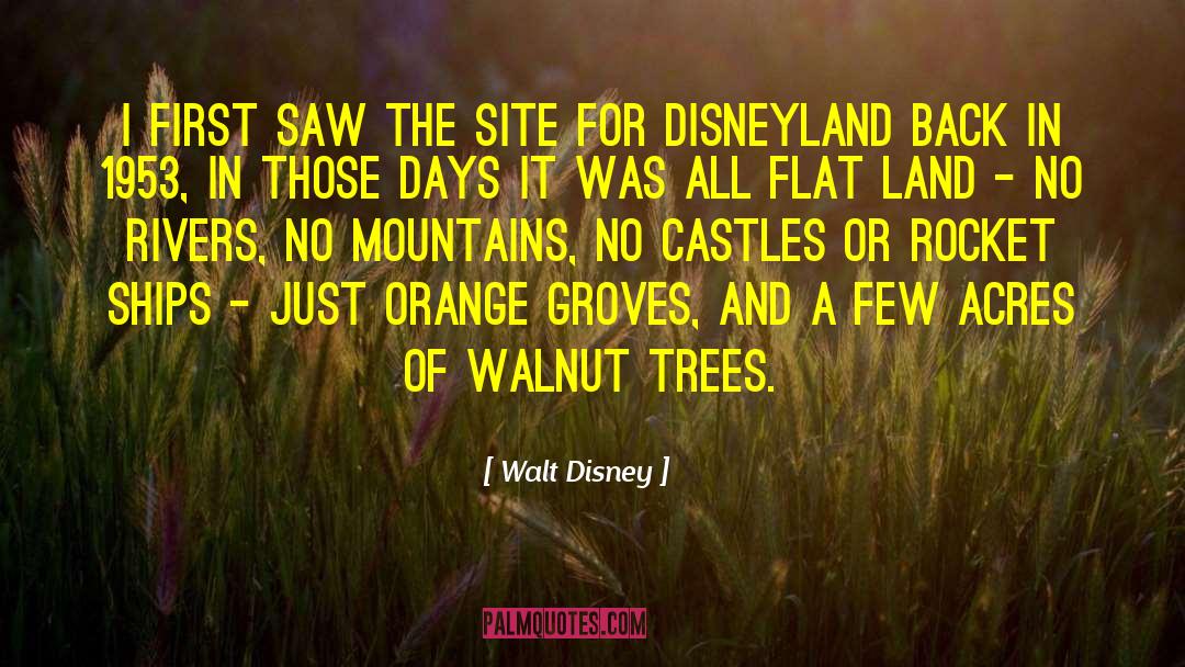 Walt Disney Quotes: I first saw the site