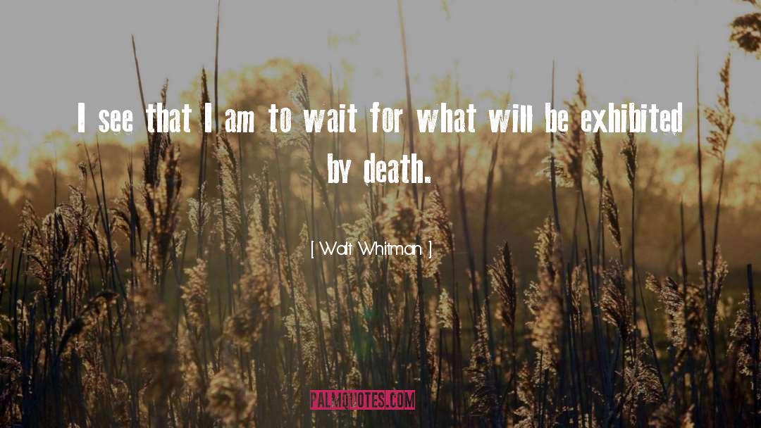 Walt Whitman Quotes: I see that I am