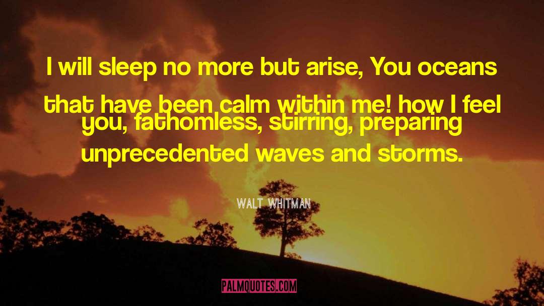 Walt Whitman Quotes: I will sleep no more