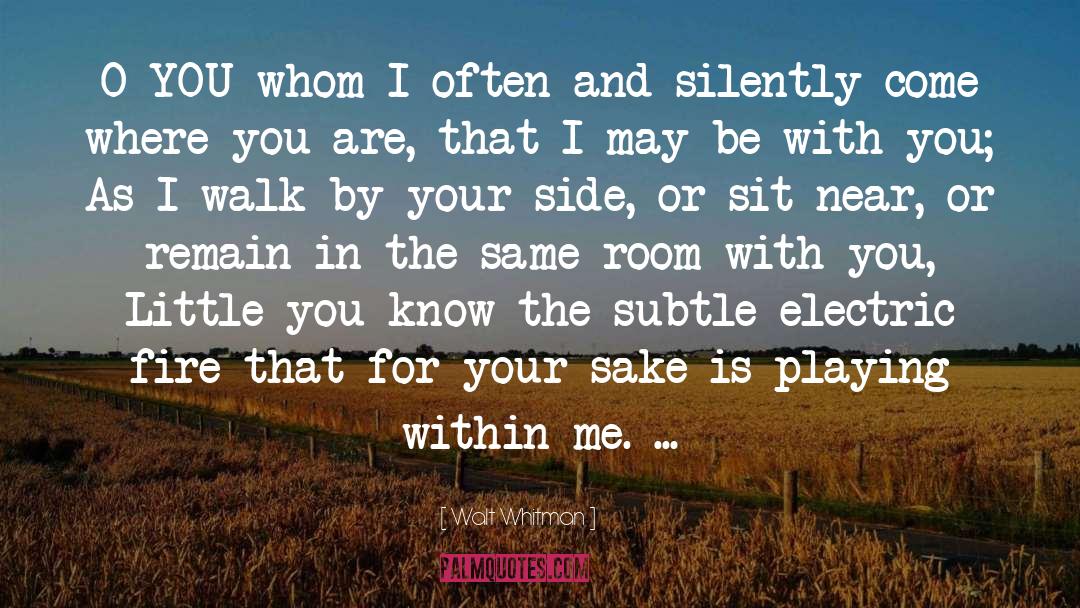 Walt Whitman Quotes: O YOU whom I often