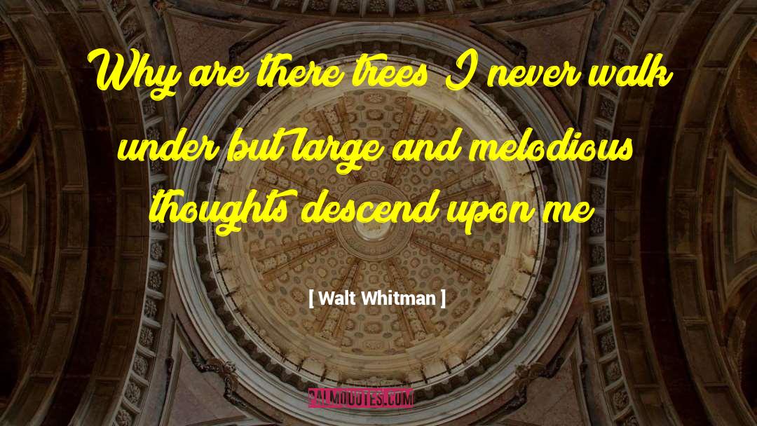 Walt Whitman Quotes: Why are there trees I