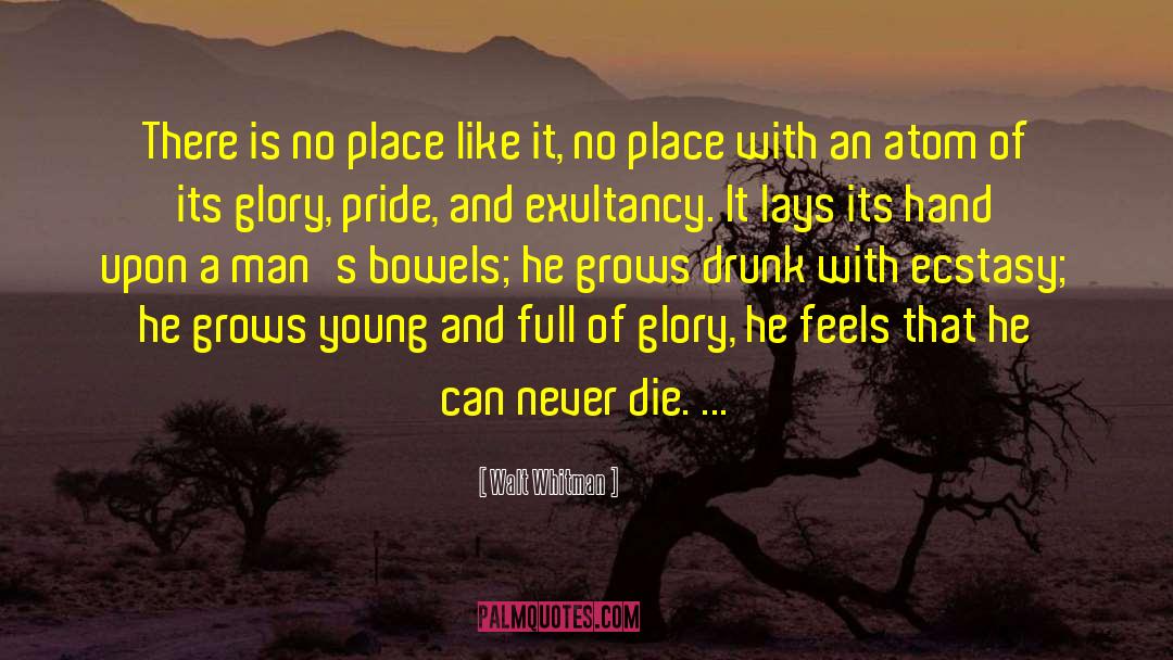 Walt Whitman Quotes: There is no place like