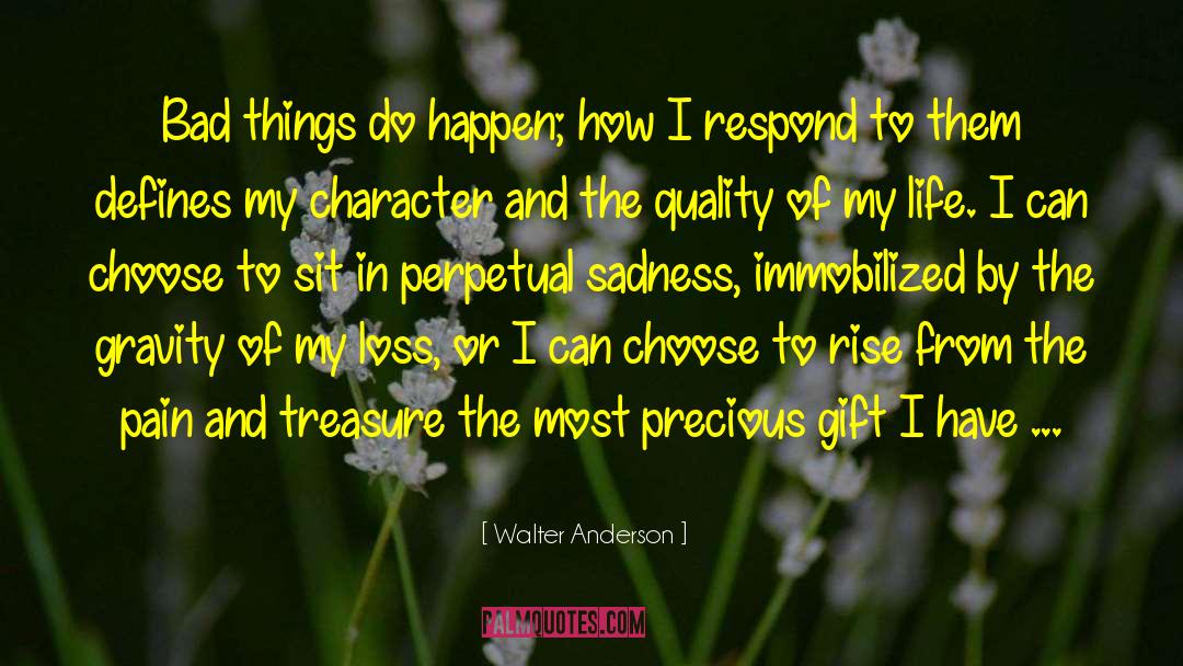 Walter Anderson Quotes: Bad things do happen; how