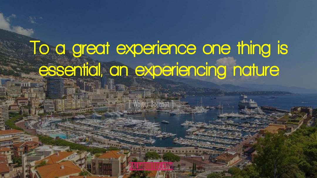 Walter Bagehot Quotes: To a great experience one