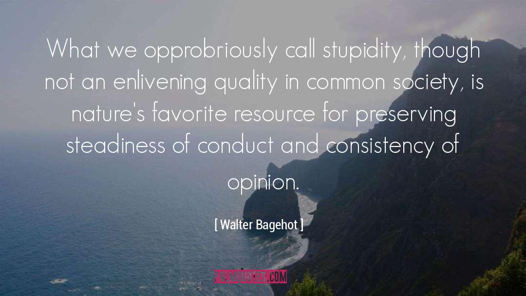 Walter Bagehot Quotes: What we opprobriously call stupidity,