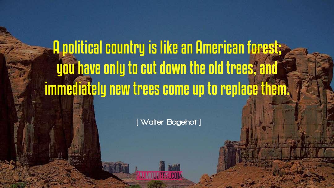 Walter Bagehot Quotes: A political country is like