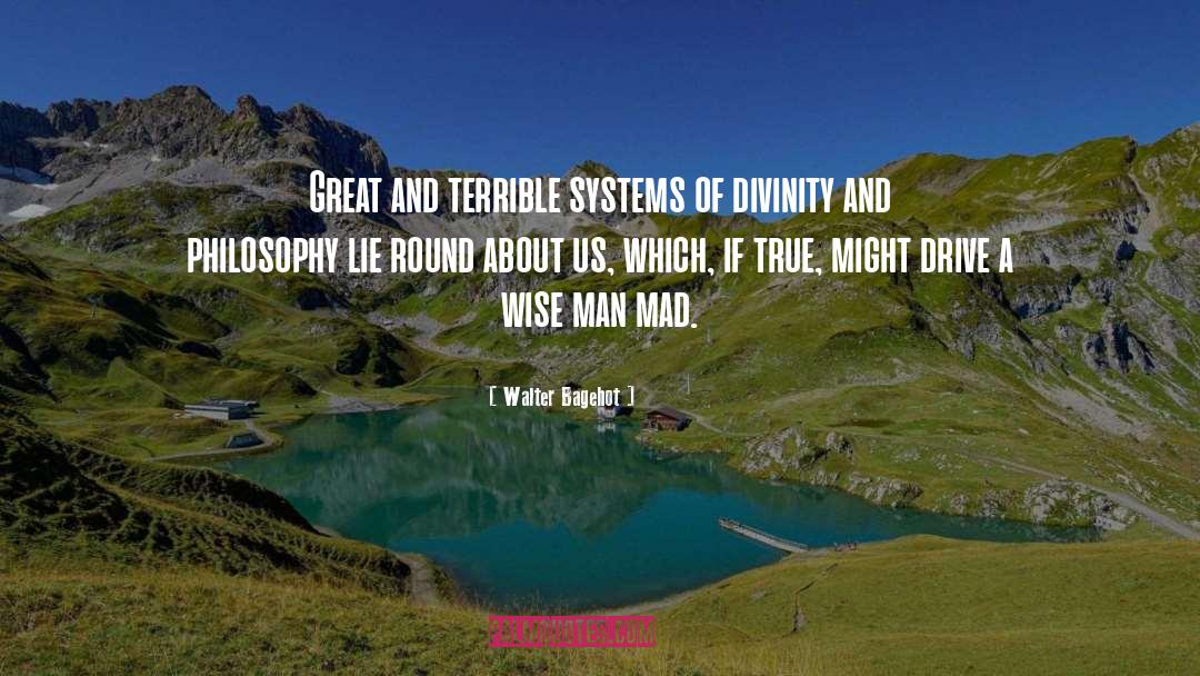 Walter Bagehot Quotes: Great and terrible systems of