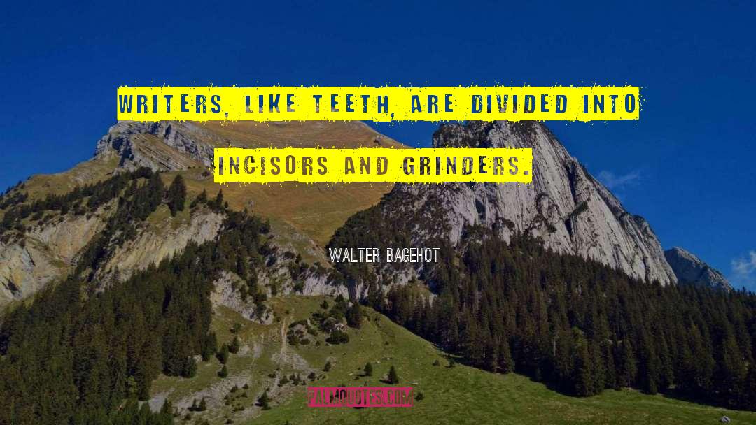 Walter Bagehot Quotes: Writers, like teeth, are divided