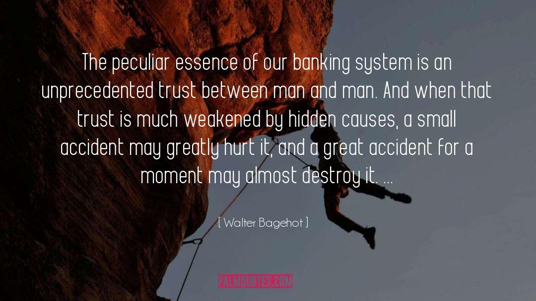 Walter Bagehot Quotes: The peculiar essence of our