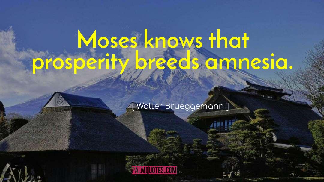 Walter Brueggemann Quotes: Moses knows that prosperity breeds