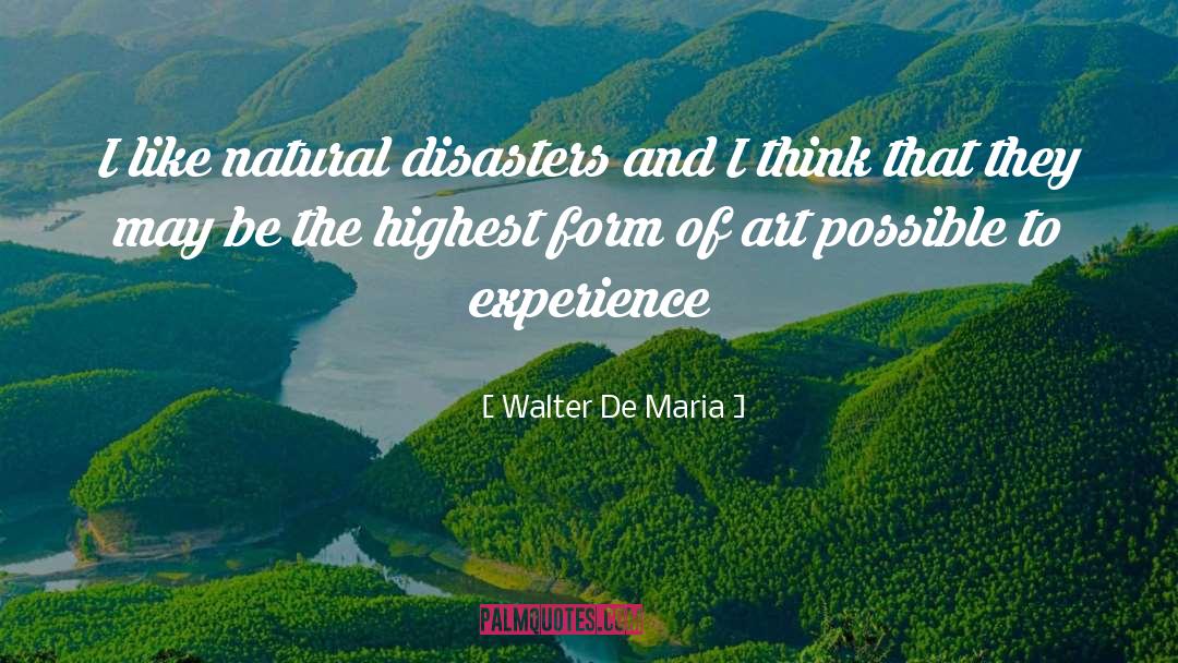 Walter De Maria Quotes: I like natural disasters and