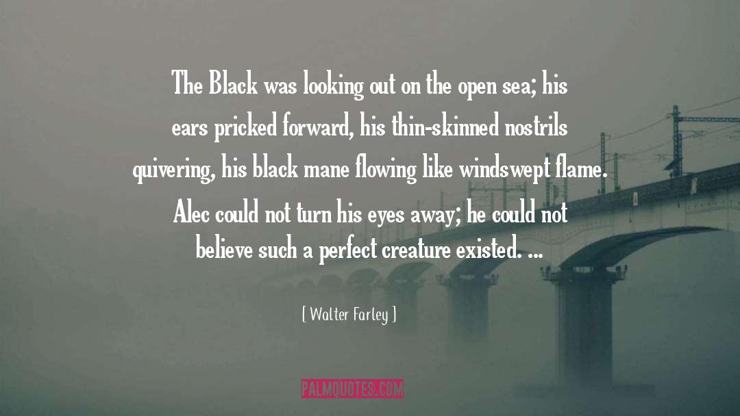 Walter Farley Quotes: The Black was looking out