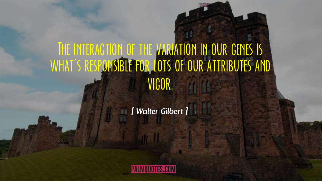 Walter Gilbert Quotes: The interaction of the variation