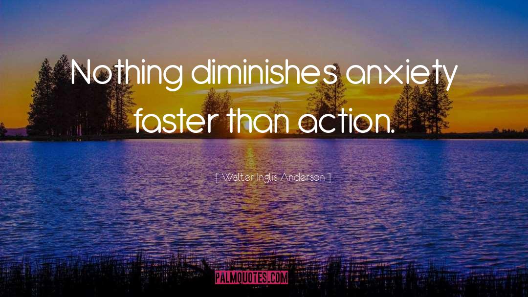 Walter Inglis Anderson Quotes: Nothing diminishes anxiety faster than