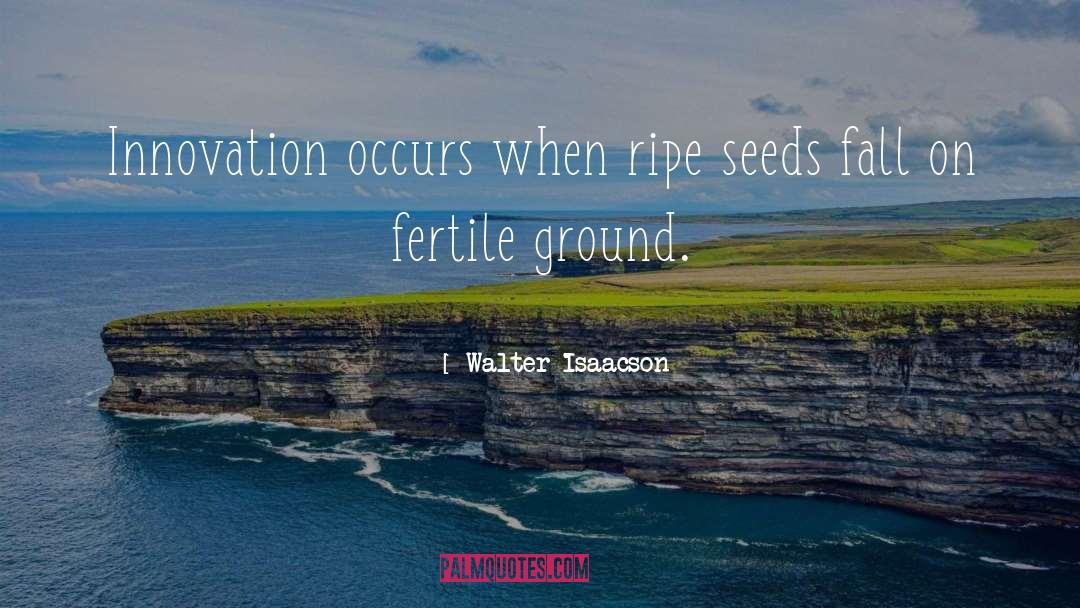 Walter Isaacson Quotes: Innovation occurs when ripe seeds