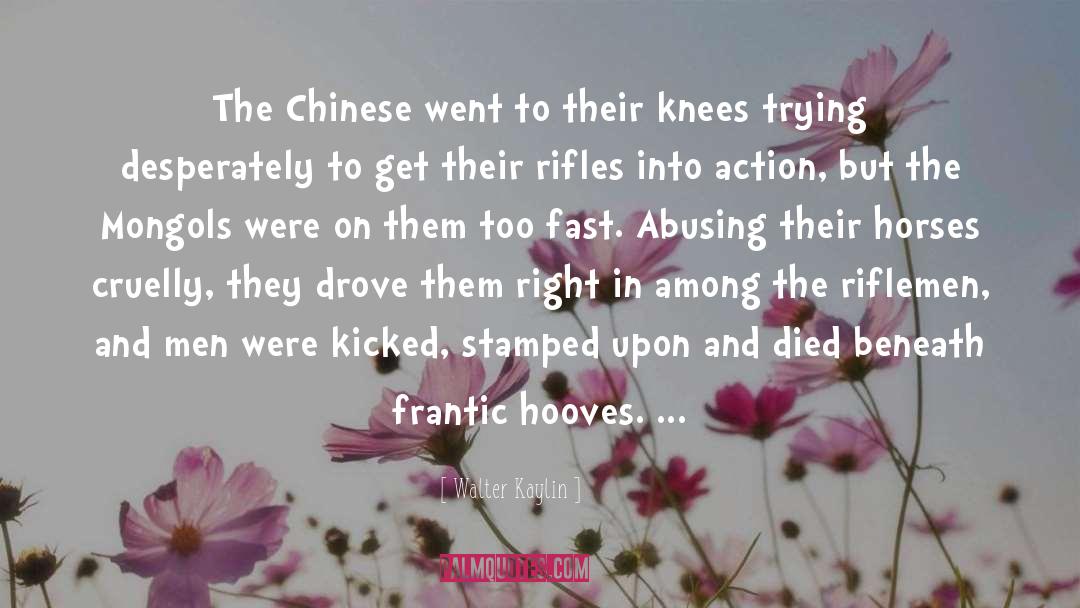 Walter Kaylin Quotes: The Chinese went to their