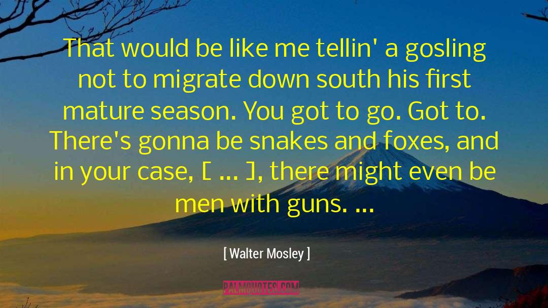 Walter Mosley Quotes: That would be like me