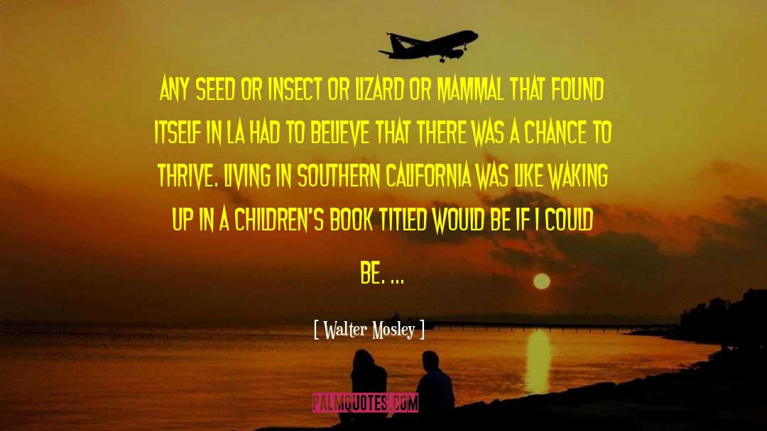 Walter Mosley Quotes: Any seed or insect or