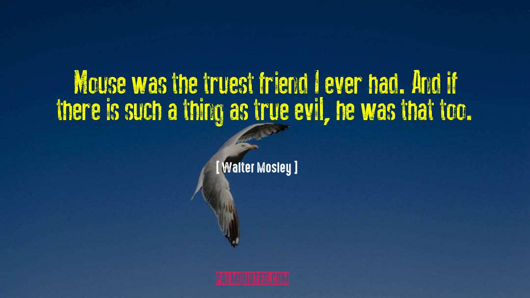 Walter Mosley Quotes: Mouse was the truest friend