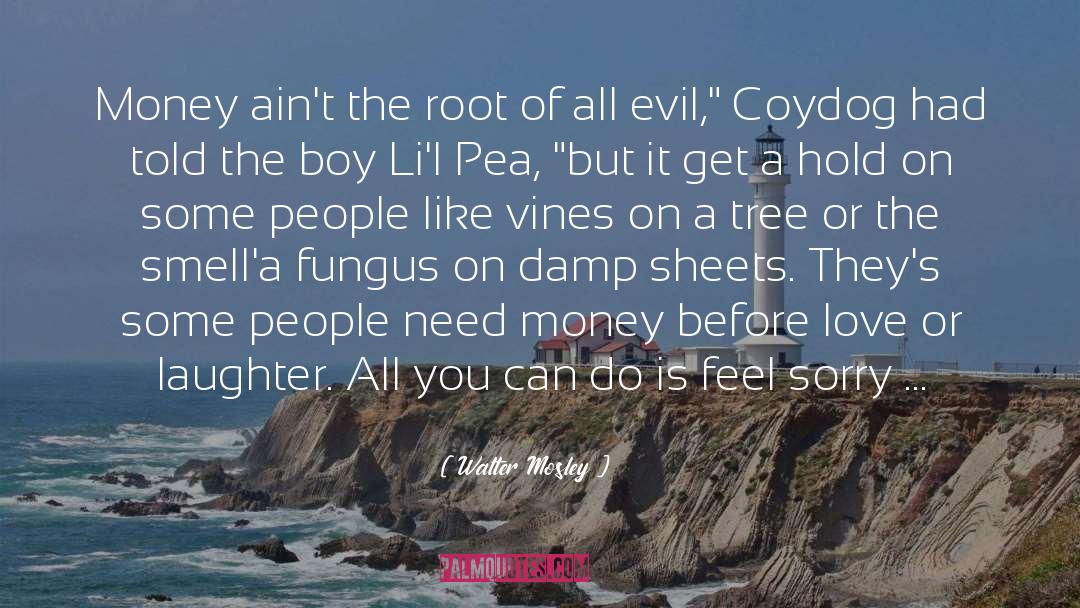 Walter Mosley Quotes: Money ain't the root of