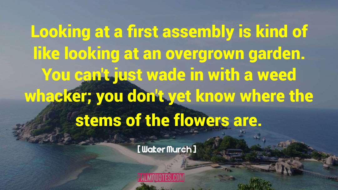 Walter Murch Quotes: Looking at a first assembly