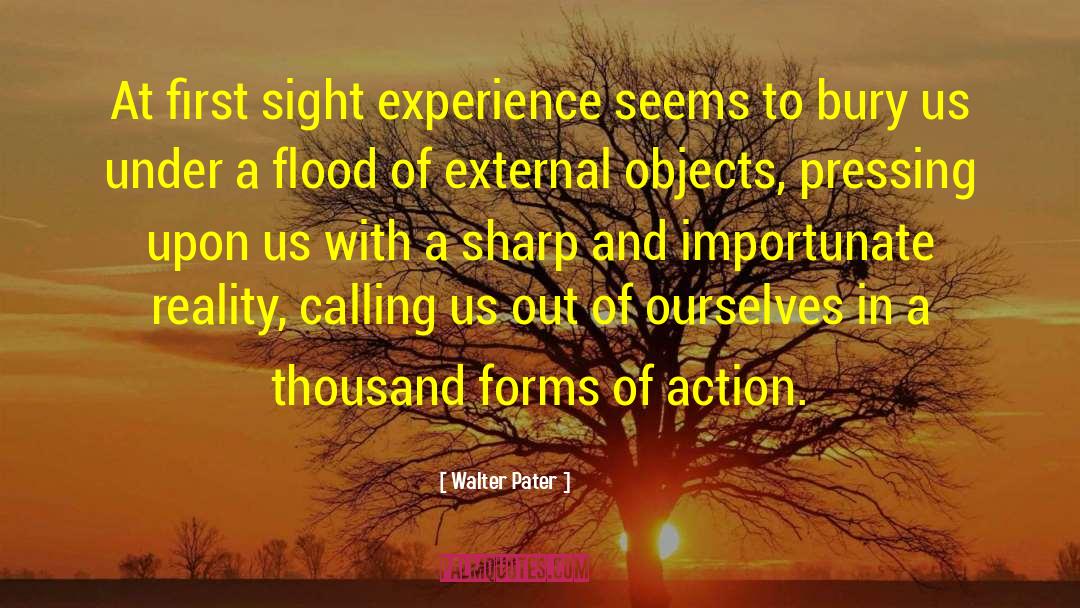 Walter Pater Quotes: At first sight experience seems