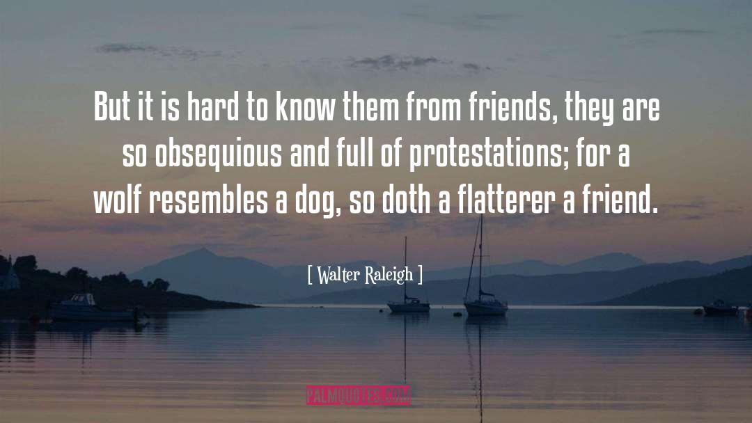 Walter Raleigh Quotes: But it is hard to