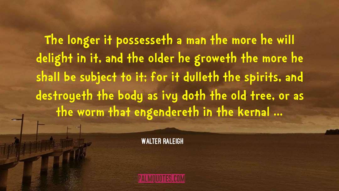 Walter Raleigh Quotes: The longer it possesseth a