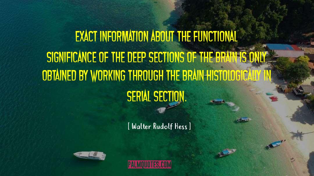 Walter Rudolf Hess Quotes: Exact information about the functional