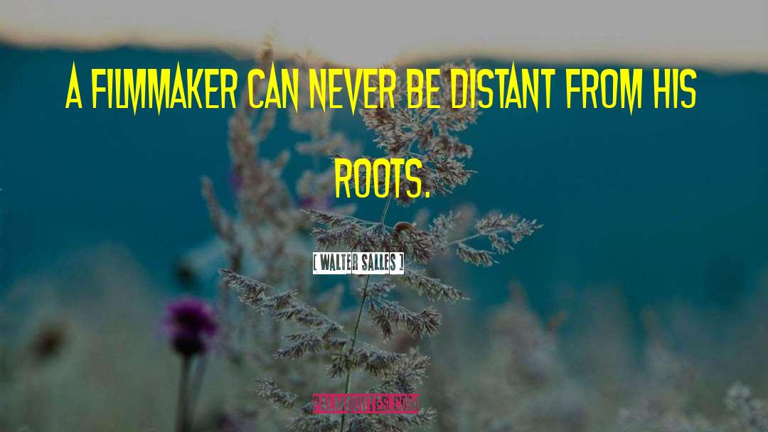 Walter Salles Quotes: A filmmaker can never be