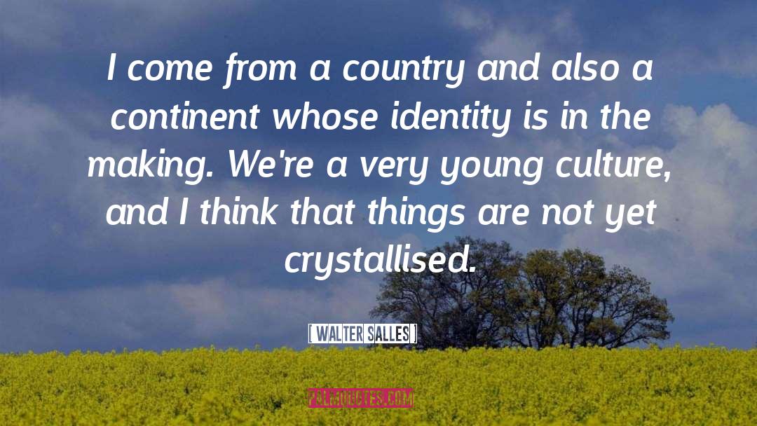 Walter Salles Quotes: I come from a country