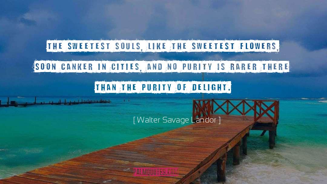 Walter Savage Landor Quotes: The sweetest souls, like the