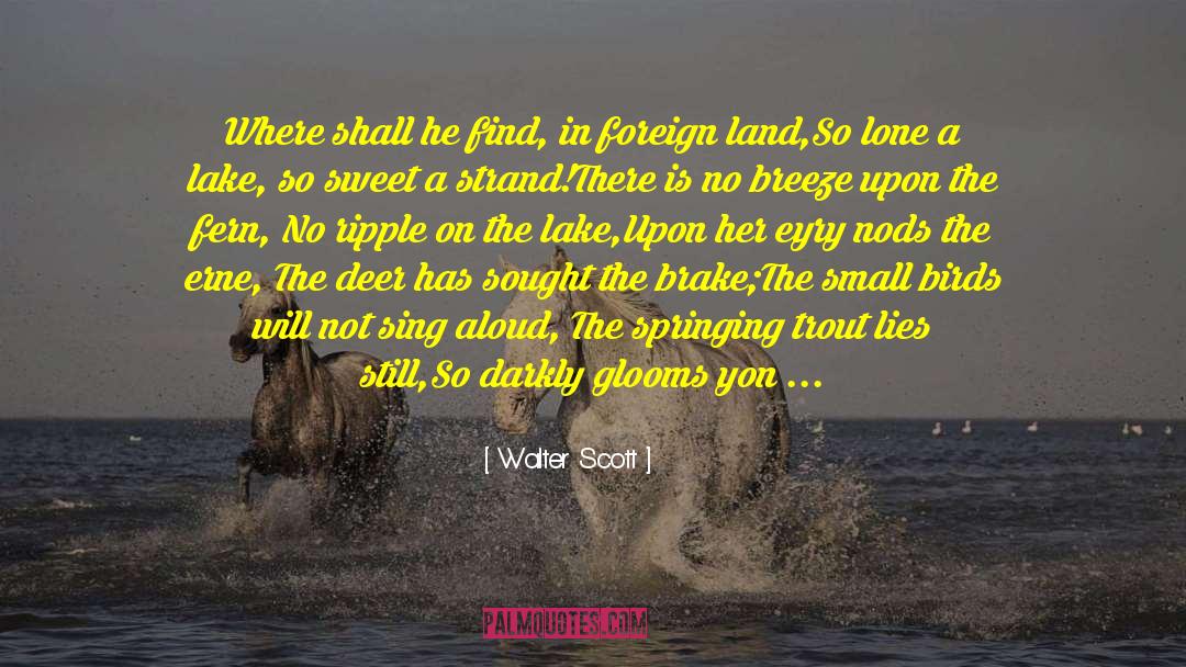 Walter Scott Quotes: Where shall he find, in