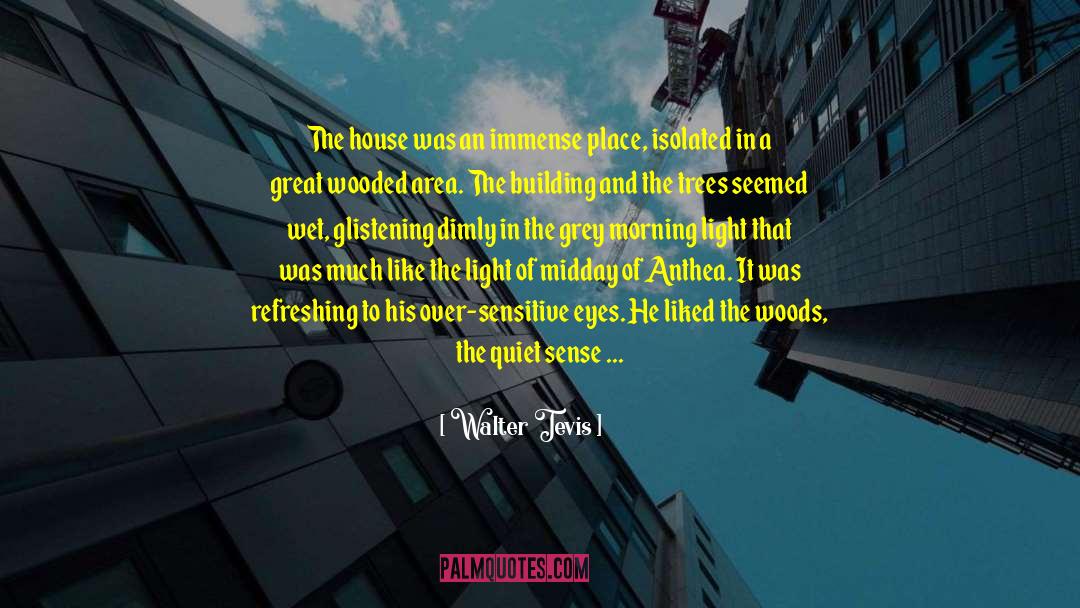 Walter Tevis Quotes: The house was an immense