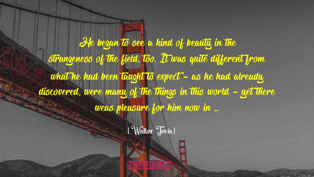 Walter Tevis Quotes: He began to see a