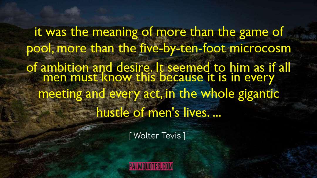 Walter Tevis Quotes: it was the meaning of