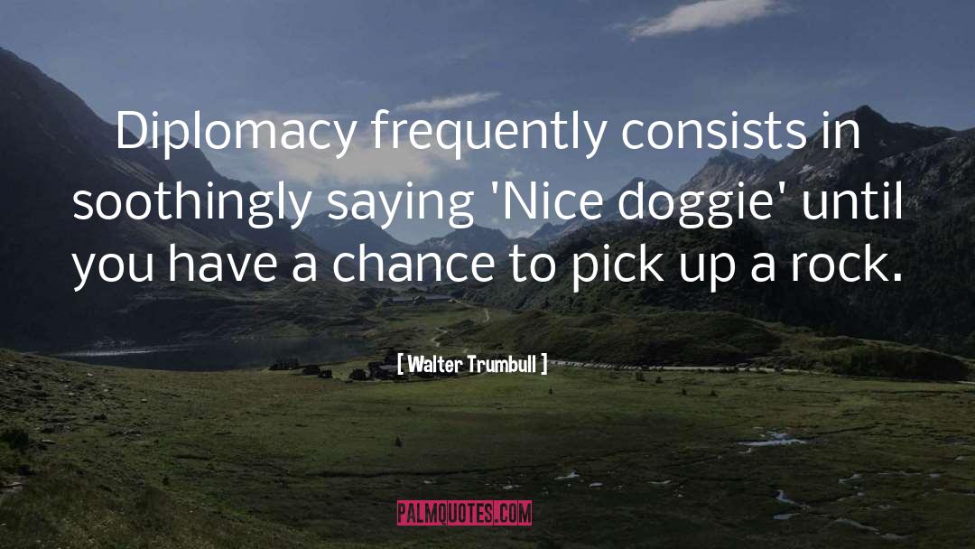 Walter Trumbull Quotes: Diplomacy frequently consists in soothingly