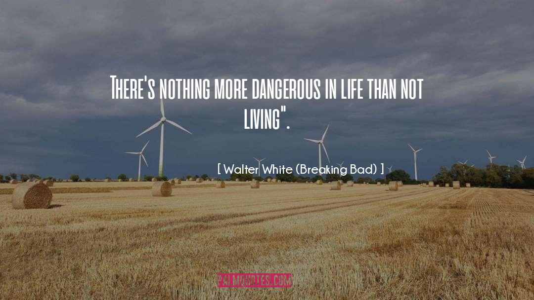 Walter White (Breaking Bad) Quotes: There's nothing more dangerous in