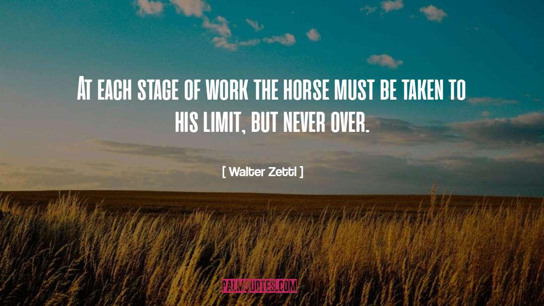 Walter Zettl Quotes: At each stage of work