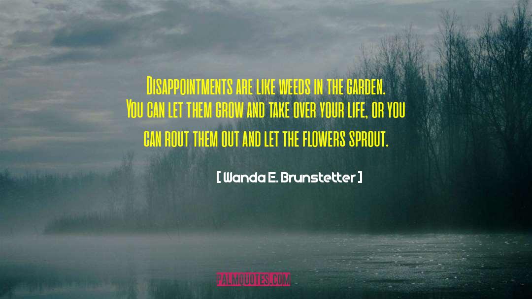 Wanda E. Brunstetter Quotes: Disappointments are like weeds in