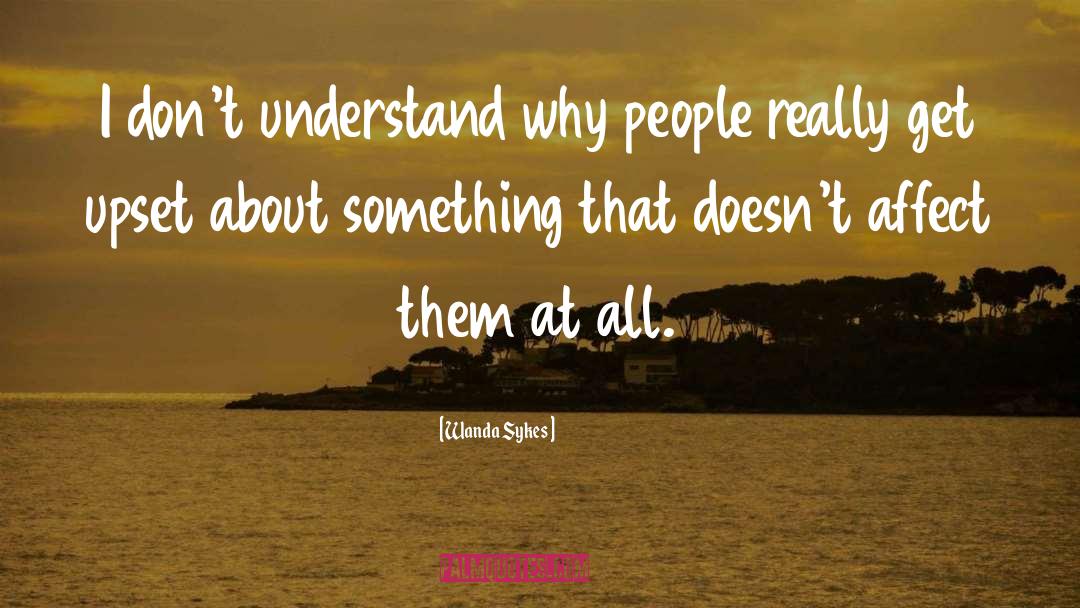 Wanda Sykes Quotes: I don't understand why people