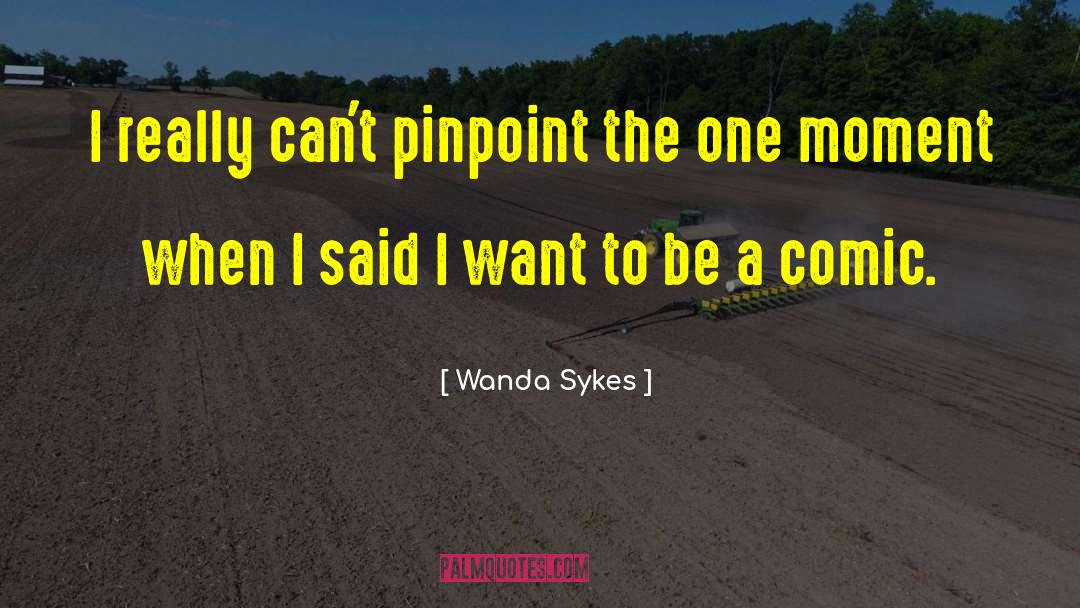 Wanda Sykes Quotes: I really can't pinpoint the