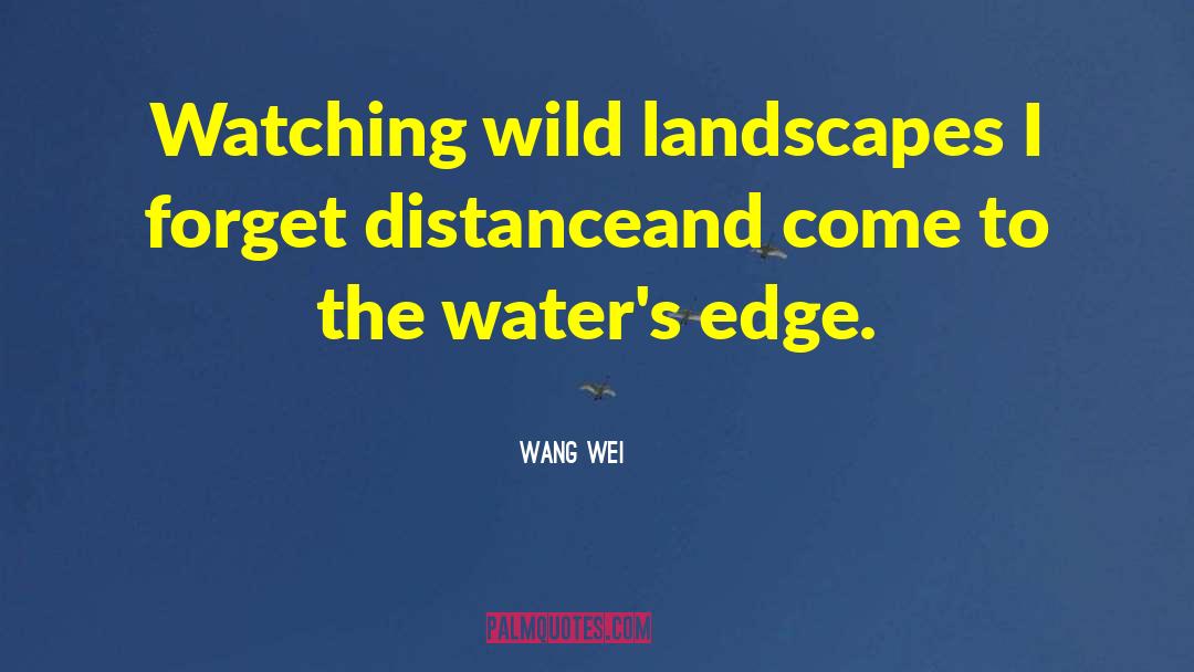 Wang Wei Quotes: Watching wild landscapes I forget