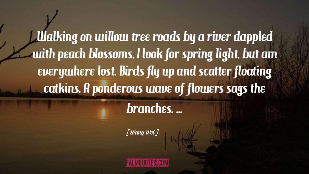 Wang Wei Quotes: Walking on willow tree roads