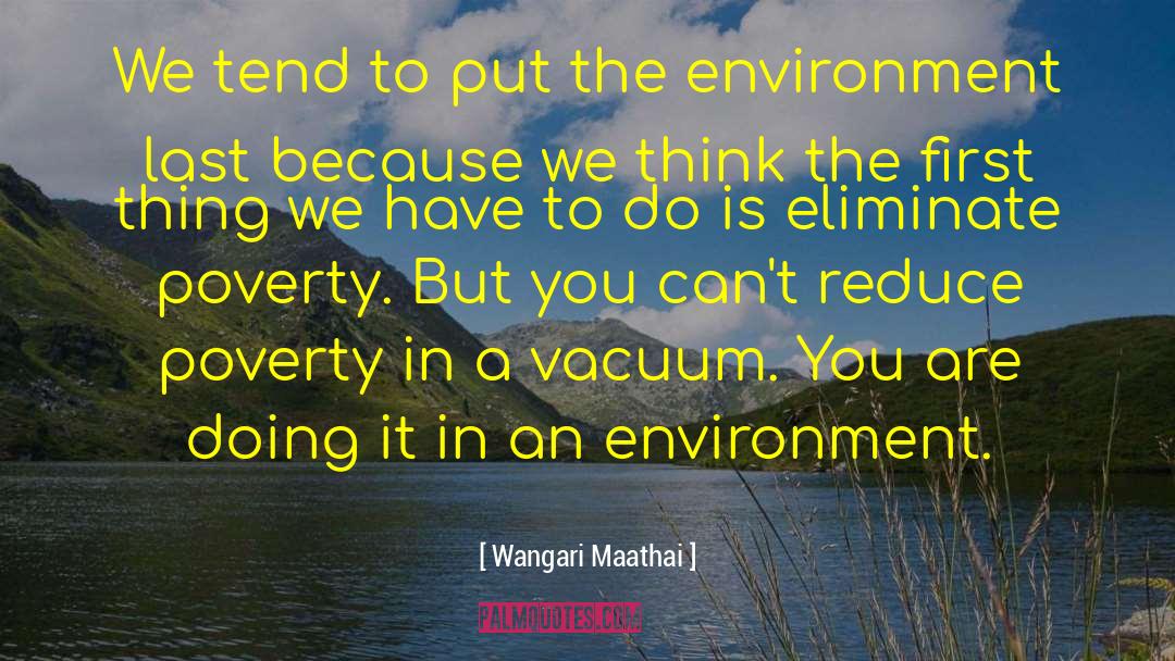 Wangari Maathai Quotes: We tend to put the